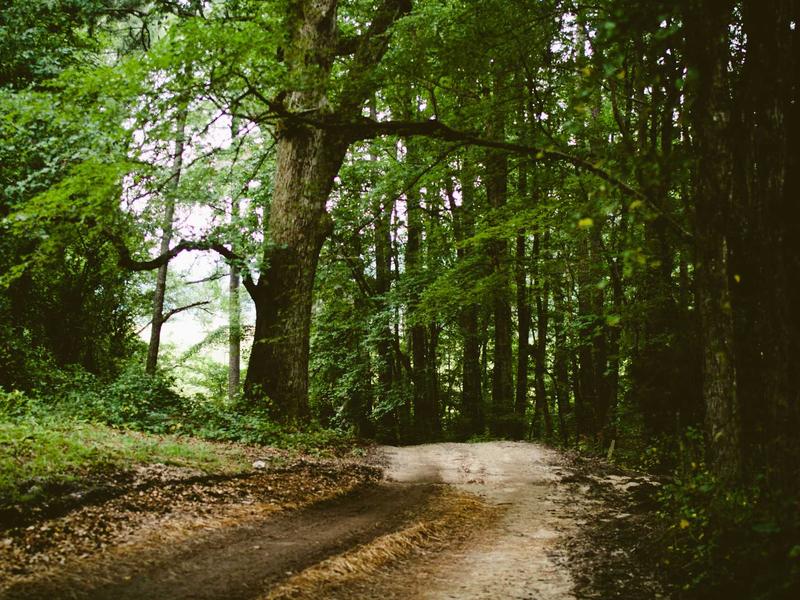 sudoku forcing chains screenshot 6